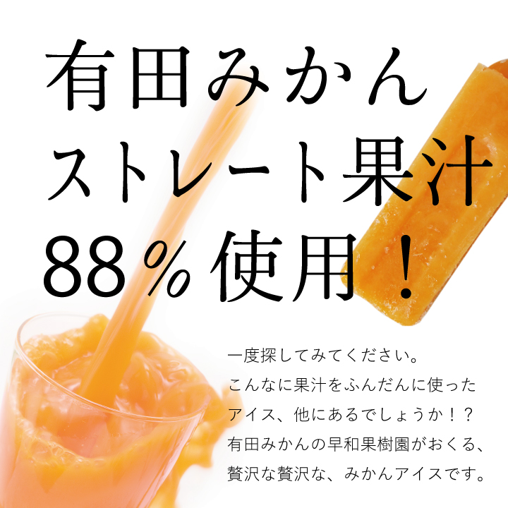 輪切りの有田みかんとみかんアイス