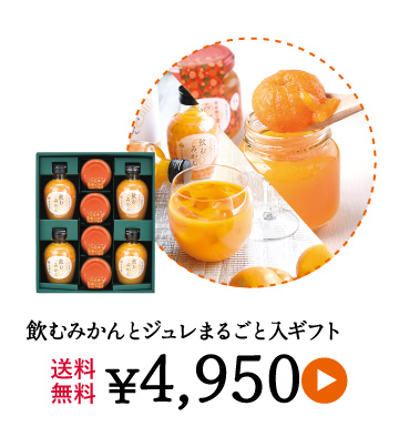 有田みかんジュース、ゼリー詰め合わせのお中元ギフト