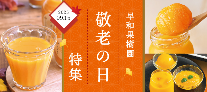 敬老の日に有田みかんゼリーのプレゼントを