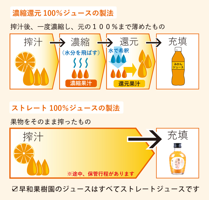 有田みかんギフト