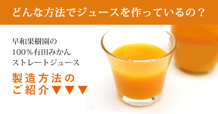 有田みかんギフト