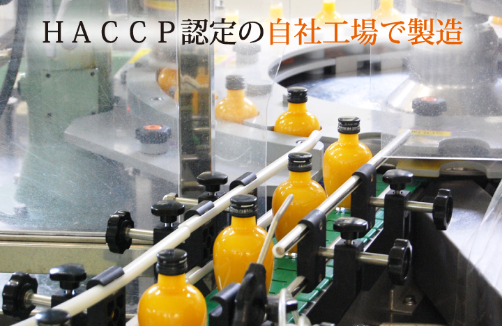 有田みかんギフト