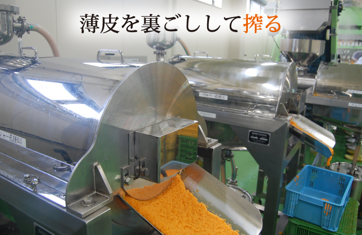 有田みかんギフト