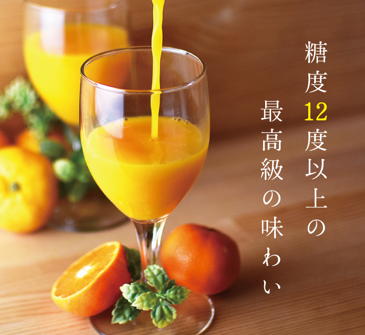 有田みかんギフト