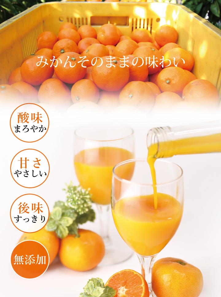 和歌山有田みかん使用、みかんジュース(100%ストレート)飲むみかん