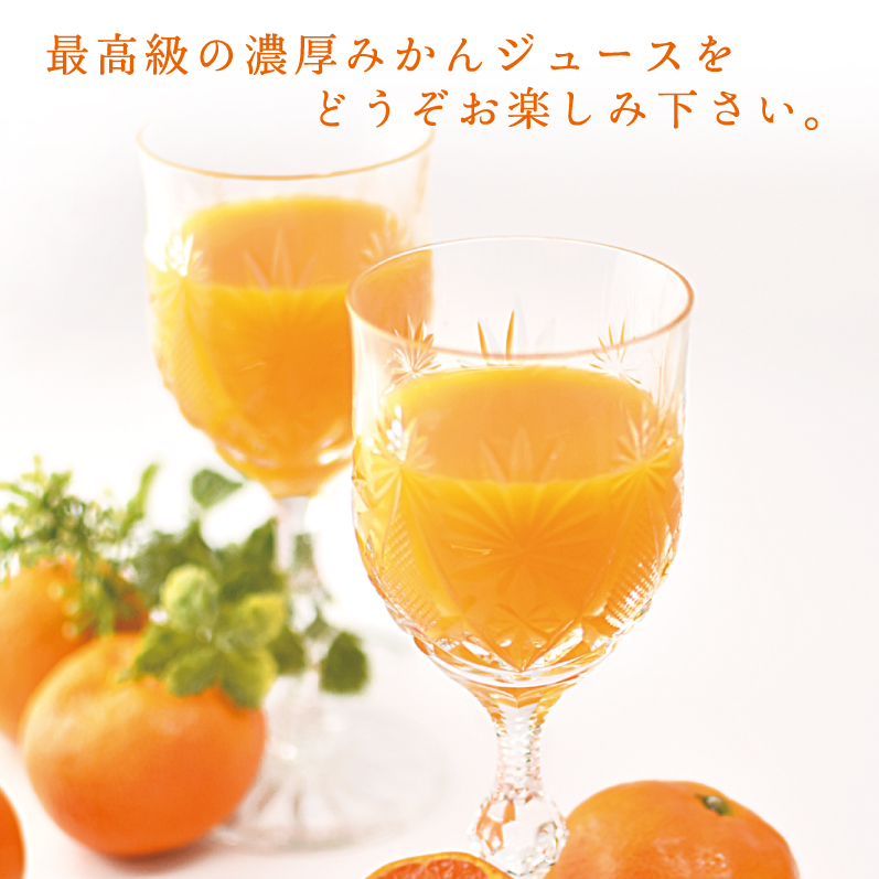 和歌山有田みかん使用、みかんジュース(100%ストレート)飲むみかん