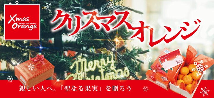 クリスマスオレンジ　Xmas Orange