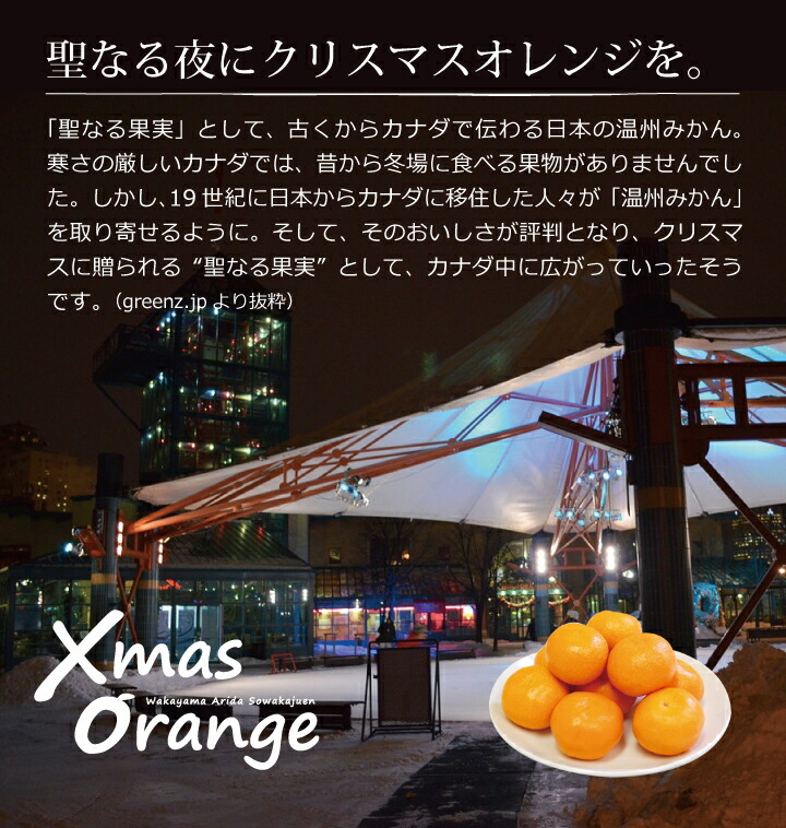 クリスマスオレンジ