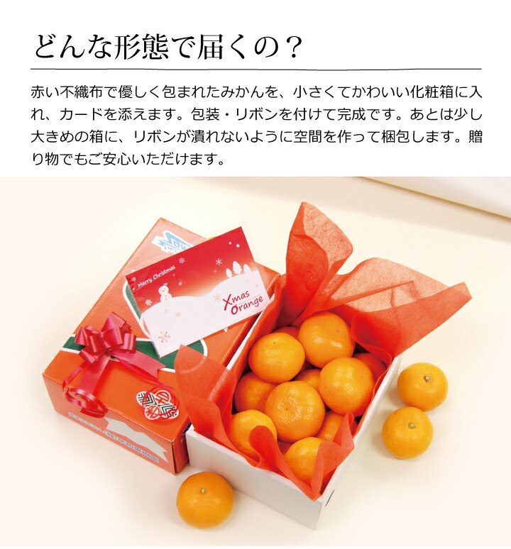 クリスマスオレンジ