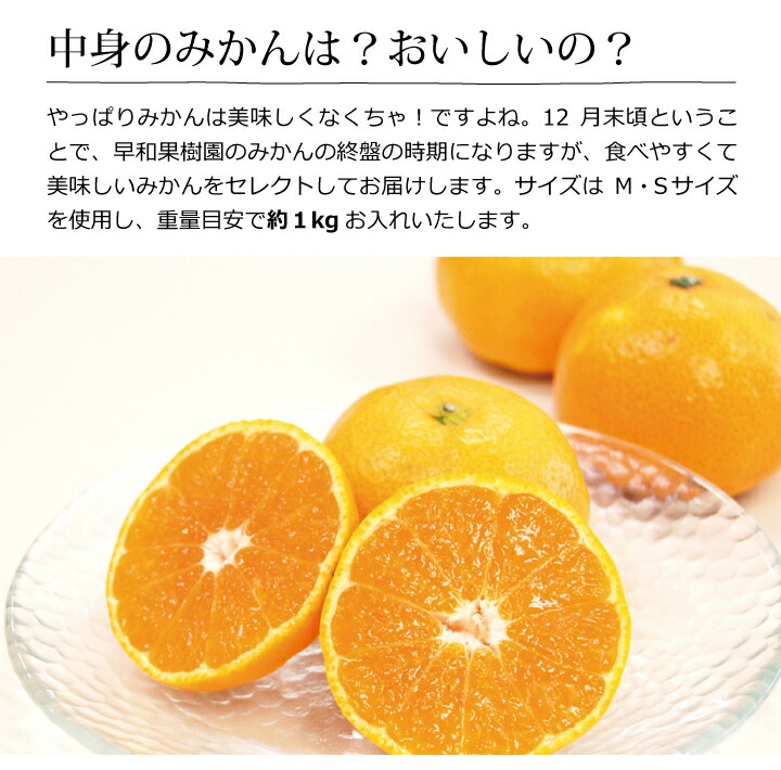 クリスマスオレンジ