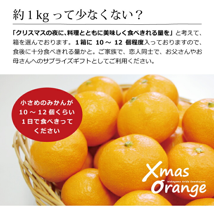 クリスマスオレンジ