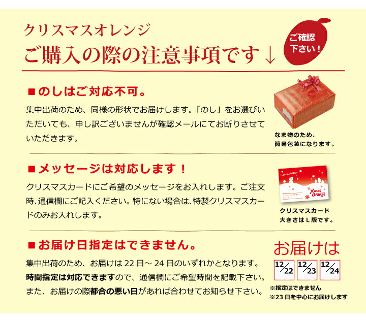 クリスマスオレンジ