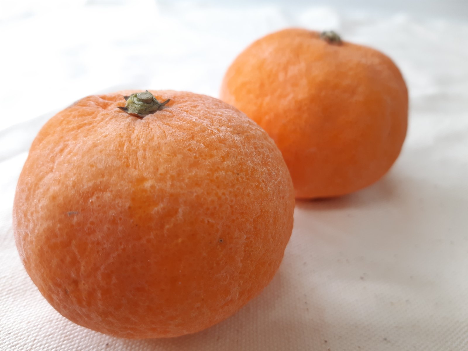 冷凍し霜がついたみかん