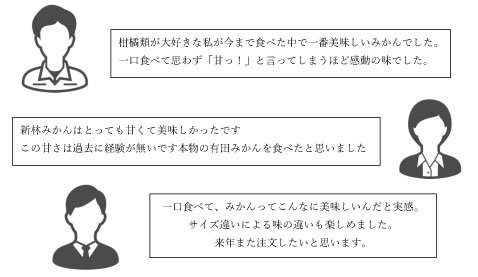 みかんランキング3位の新林みかんについてのレビューを紹介します