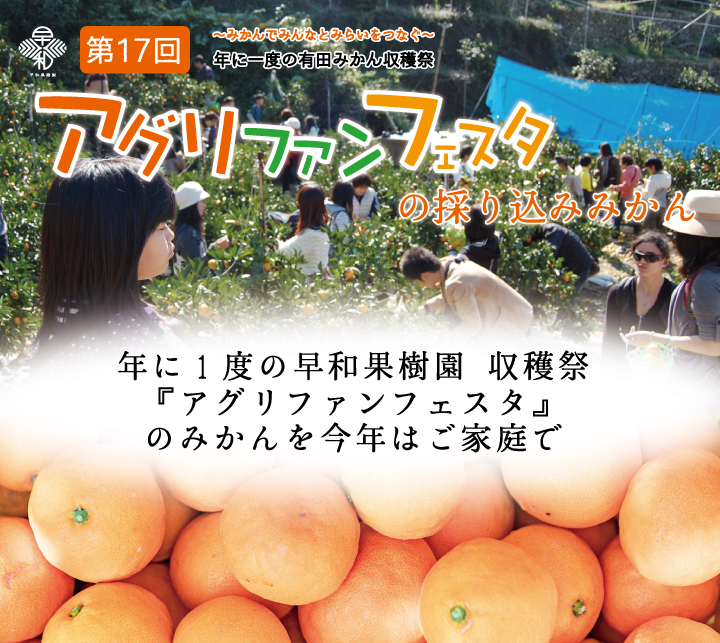 アグリファンフェスタの採り込みみかん