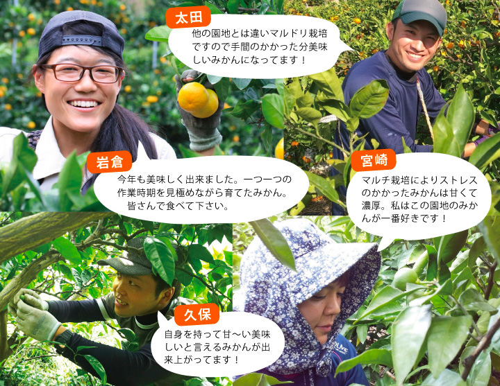 早和果樹園の生産部が育てました