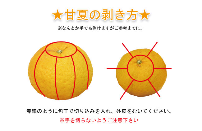 剥き方