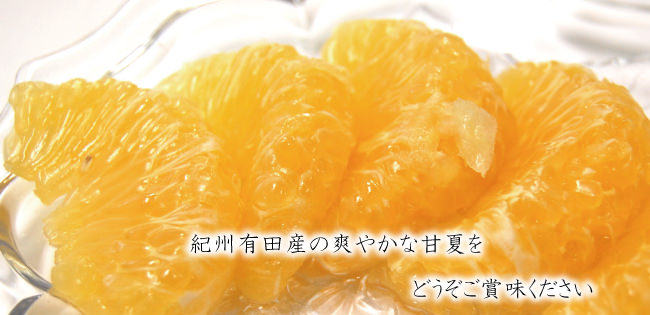 甘夏をどうぞご賞味下さい。