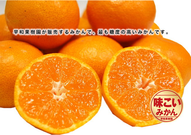 高級ブランド有田みかんの断面