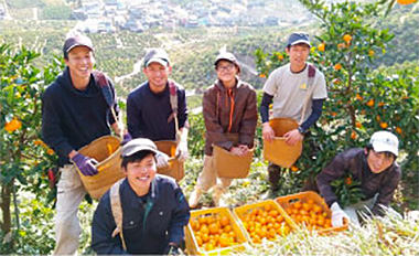 生産部栽培日記はこちら
