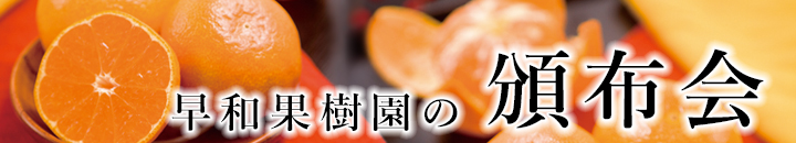 頒布会