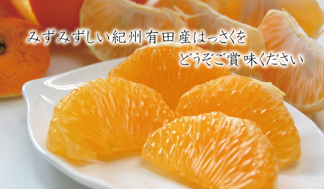 はっさくをどうぞご賞味下さい。