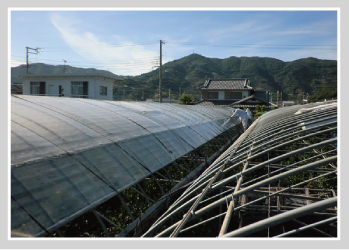 高所での作業