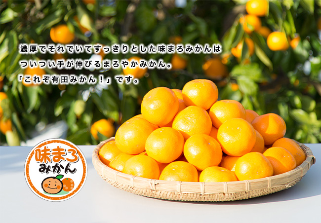 早和果樹園が選んだまろやかみかん