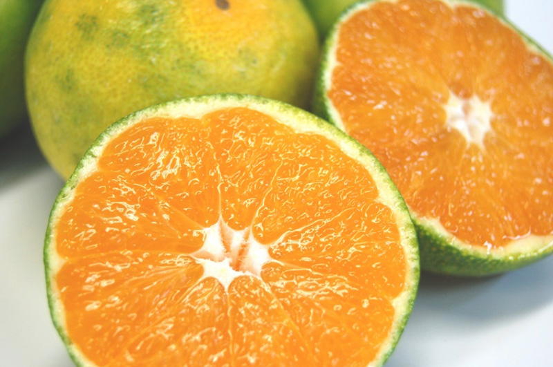 秋の果物とみかん