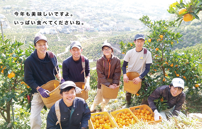>大切な人におすすめしたい美味しい有田みかん
