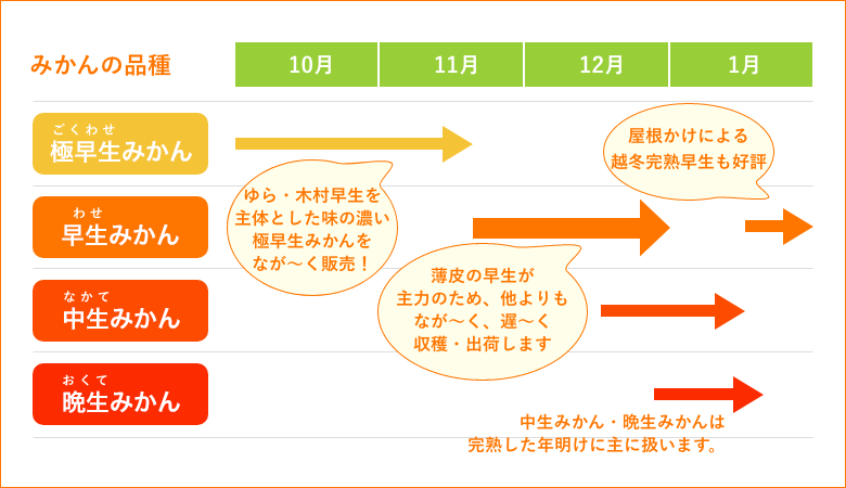 早和果樹園の取り扱うみかん品種の移り変わり