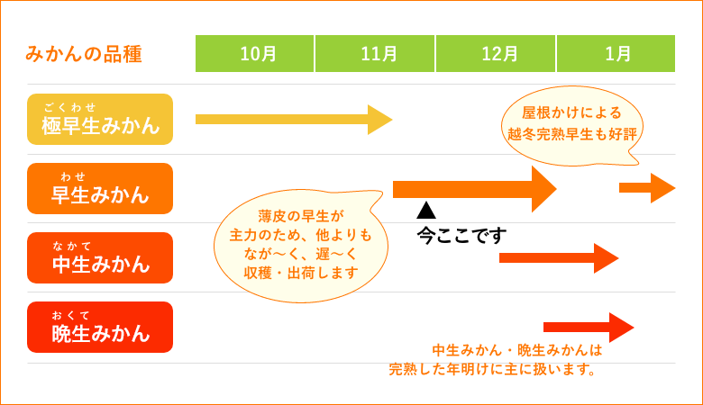 早和果樹園の取り扱うみかん品種の移り変わり