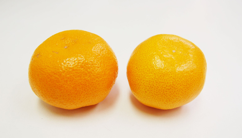 果皮がなめらかで油胞が細かいみかん 果皮が粗く、油胞が大きいみかん