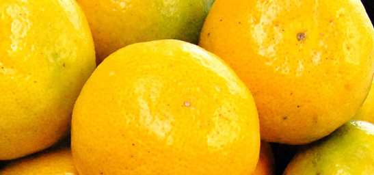 紅が薄いみかん