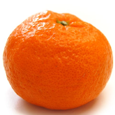 果皮と実がピッタリくっついている