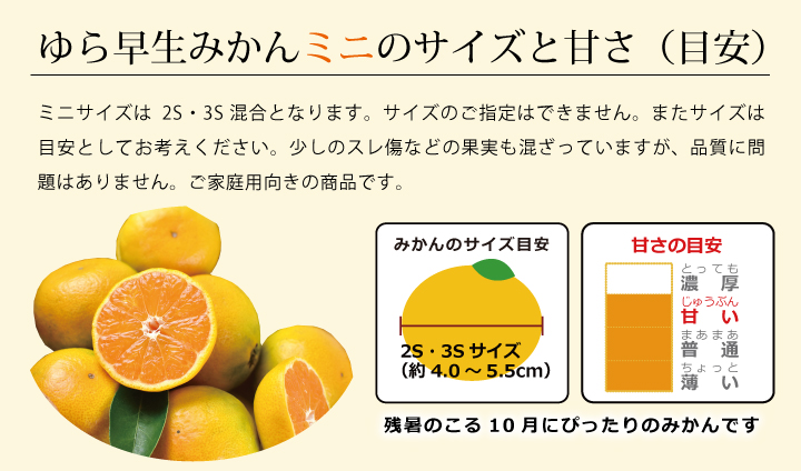 秋のみかん「ゆら早生みかん」の大きさと糖度の傾向