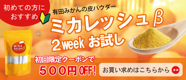 初めての方にオススメミカレッシュ2weekお試し