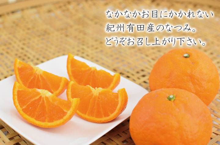 有田産なつみ