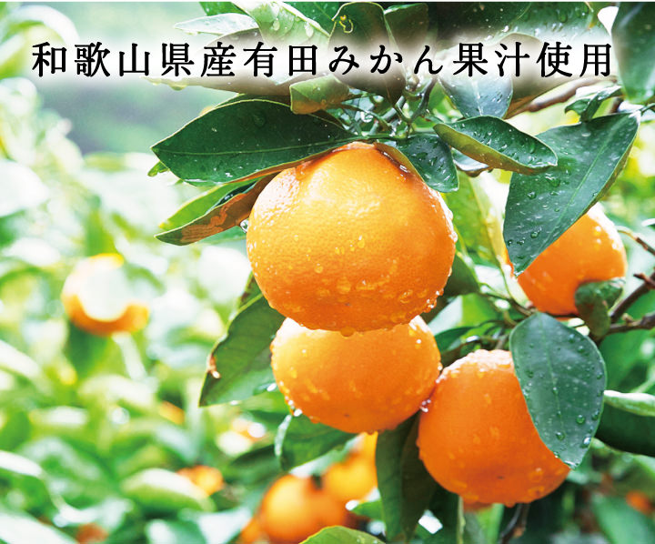 みかんの栽培