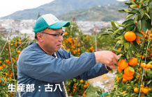 生産部・古八