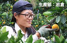 生産担当