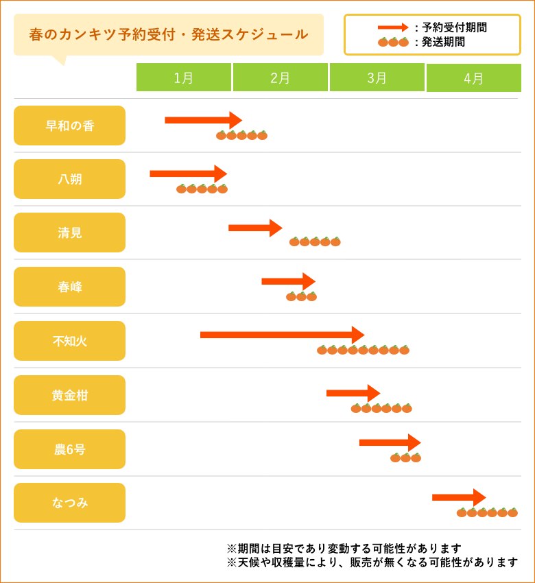 春のカンキツ予約受付・発送スケジュール