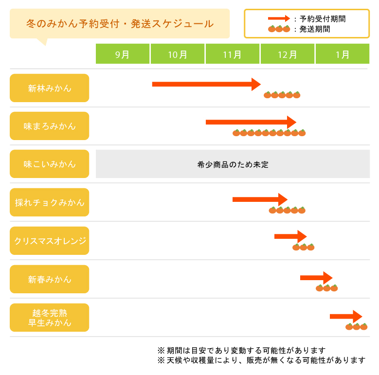 冬のみかん予約受付・発送スケジュール