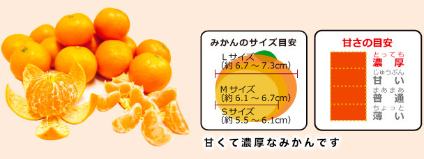 味こいみかんのサイズと甘さ