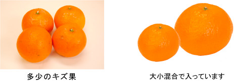 大きい果実と小さい果実が混在します