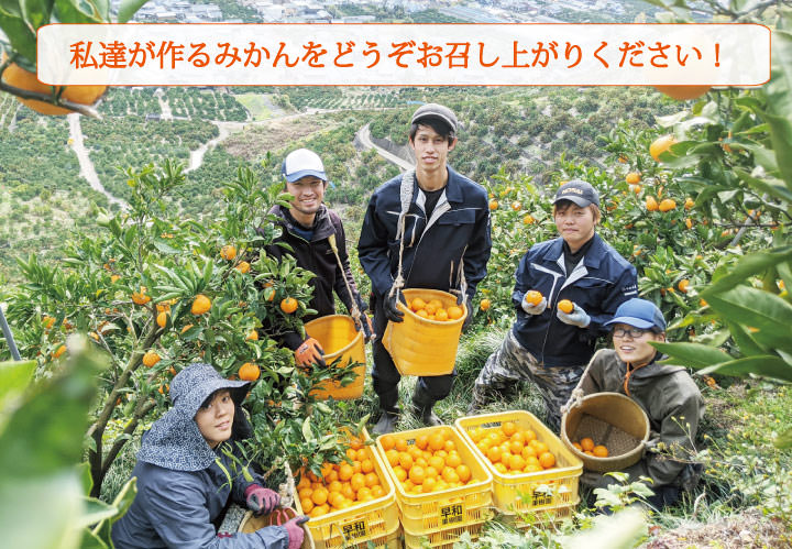 早和果樹園の生産部のみかんをお召し上がり下さい。