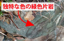 標高150mぐらい