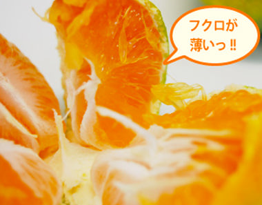 極早生特有の爽やかな酸味も