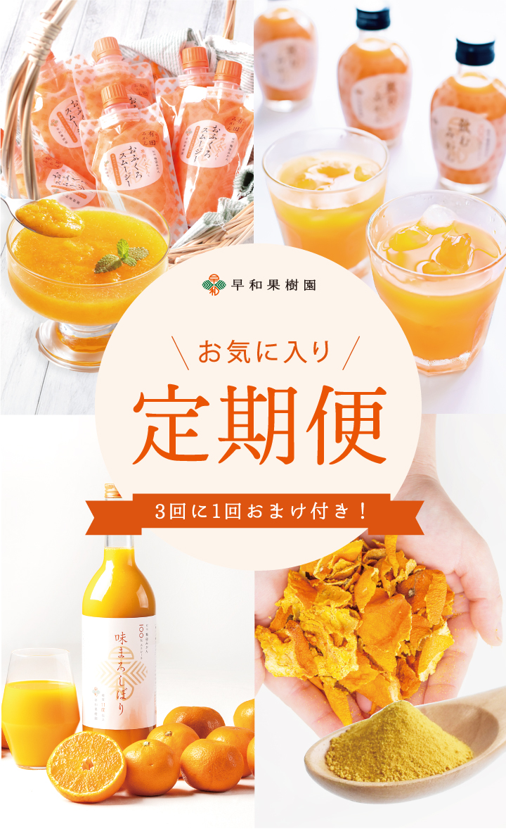 早和果樹園 お気に入り定期便 3回に1回おまけ付き！