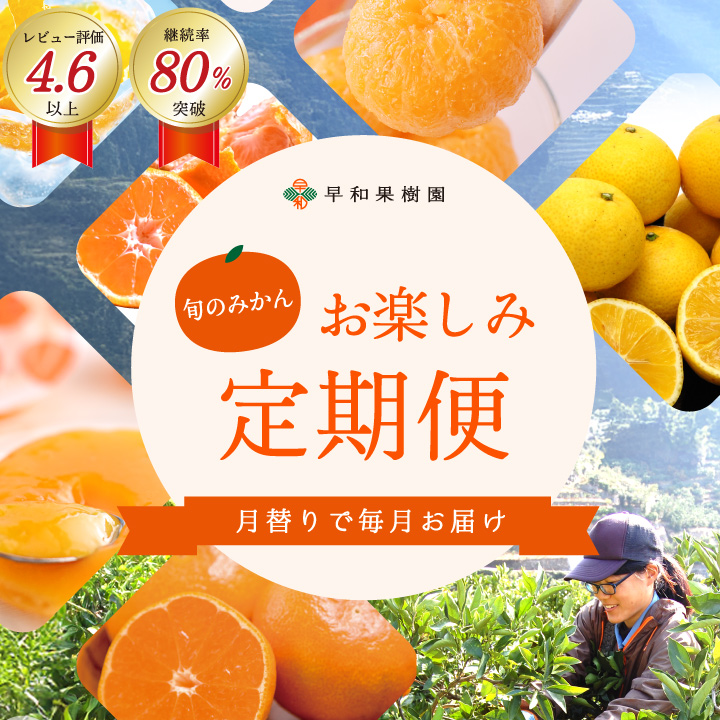 旬のみかんお楽しみ定期便